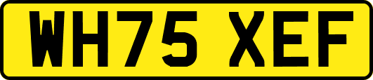 WH75XEF