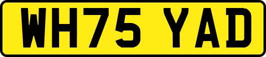 WH75YAD