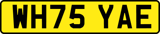 WH75YAE