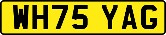 WH75YAG