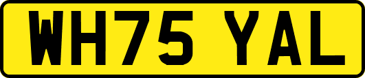 WH75YAL