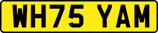 WH75YAM