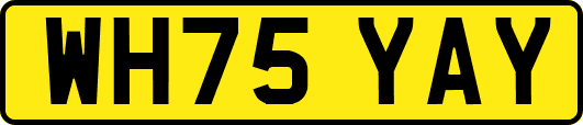 WH75YAY