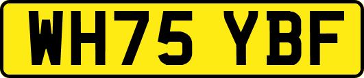 WH75YBF