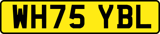 WH75YBL