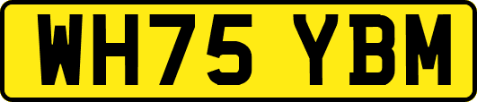 WH75YBM