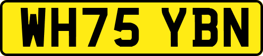 WH75YBN