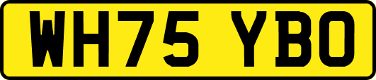 WH75YBO