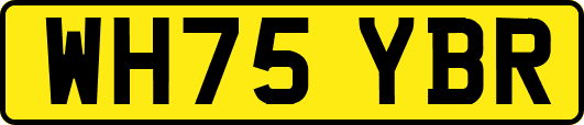 WH75YBR