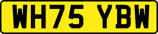 WH75YBW