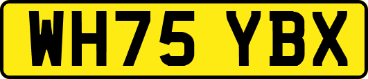 WH75YBX