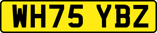 WH75YBZ