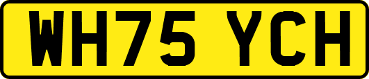 WH75YCH