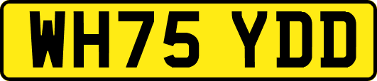 WH75YDD