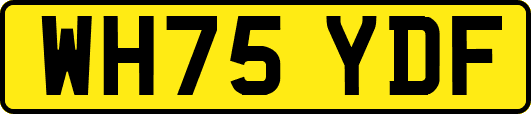 WH75YDF