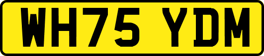 WH75YDM