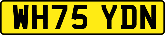 WH75YDN