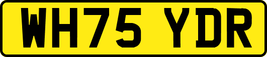 WH75YDR