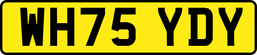 WH75YDY