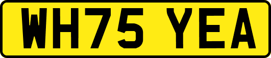 WH75YEA