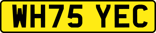 WH75YEC