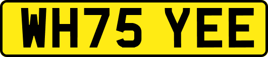 WH75YEE