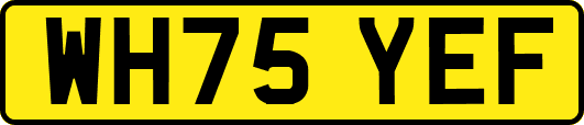 WH75YEF