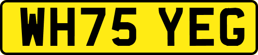 WH75YEG