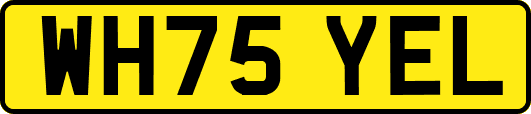 WH75YEL