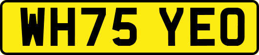 WH75YEO