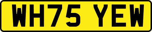 WH75YEW