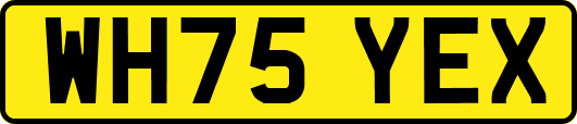 WH75YEX