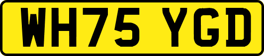 WH75YGD