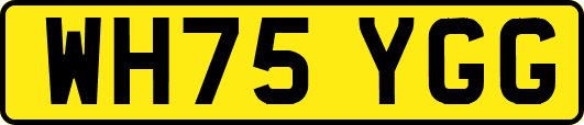 WH75YGG