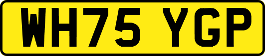 WH75YGP