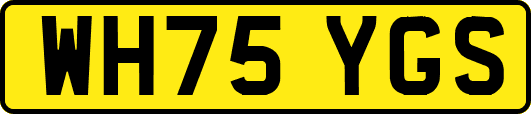 WH75YGS