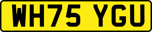 WH75YGU