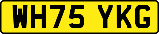 WH75YKG