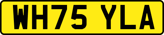WH75YLA
