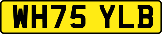 WH75YLB