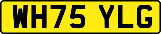 WH75YLG