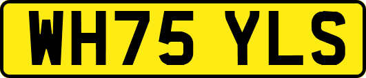 WH75YLS