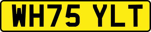 WH75YLT