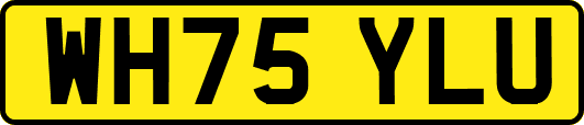 WH75YLU