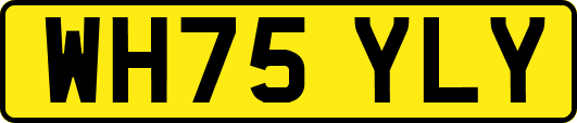 WH75YLY
