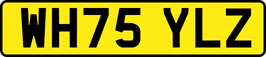 WH75YLZ