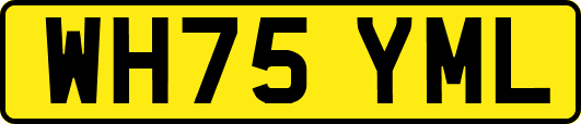 WH75YML