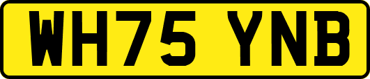 WH75YNB