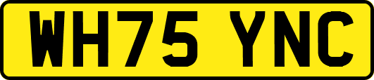 WH75YNC