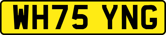WH75YNG
